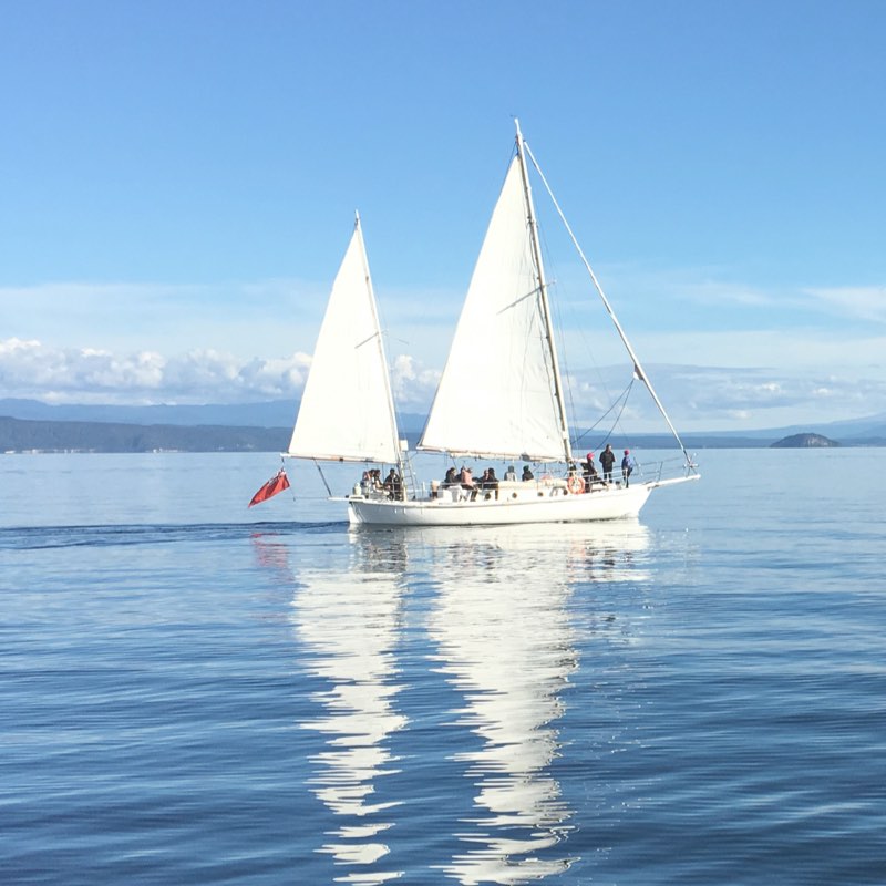 Luxury Tours